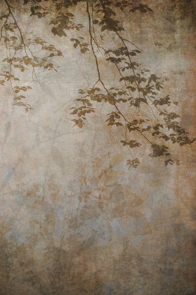 Earthy studio backdrop